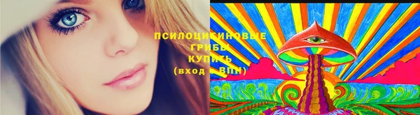 ECSTASY Бугульма