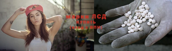 крисы Богородицк