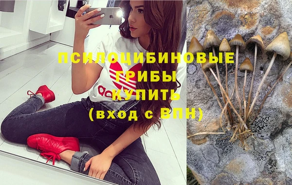 мескалин Богородск